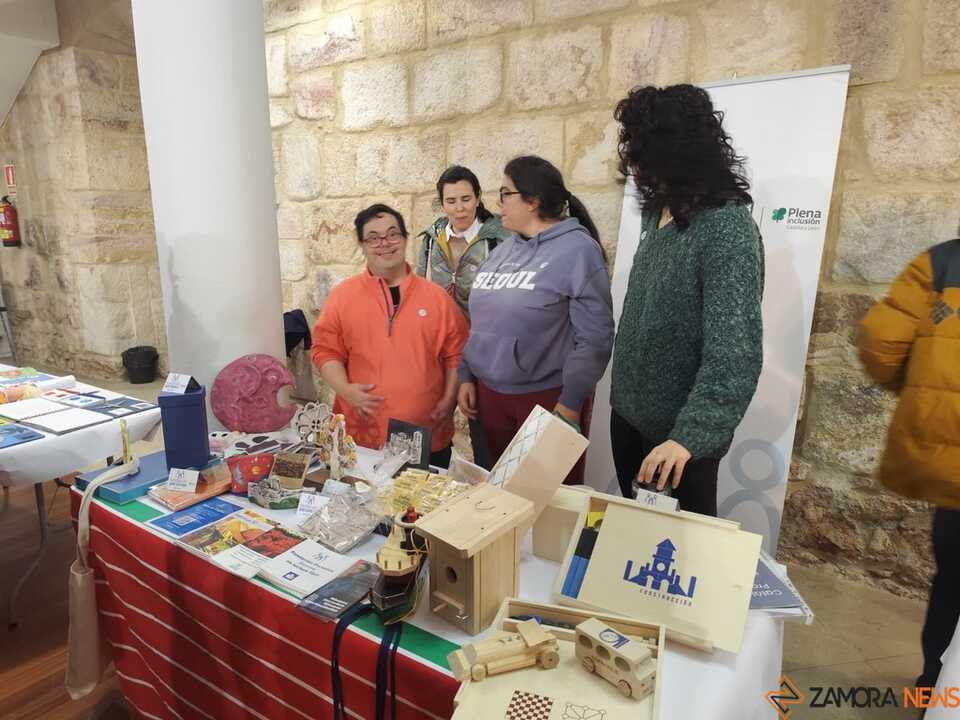 Día Internacional de la Discapacidad Zamora _4