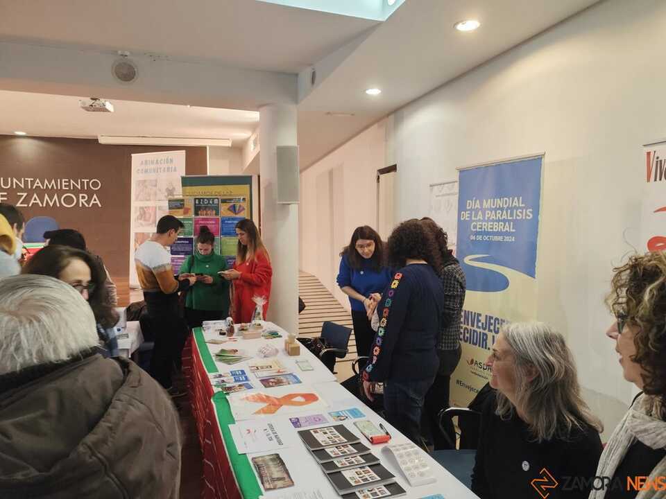 Día Internacional de la Discapacidad Zamora _6