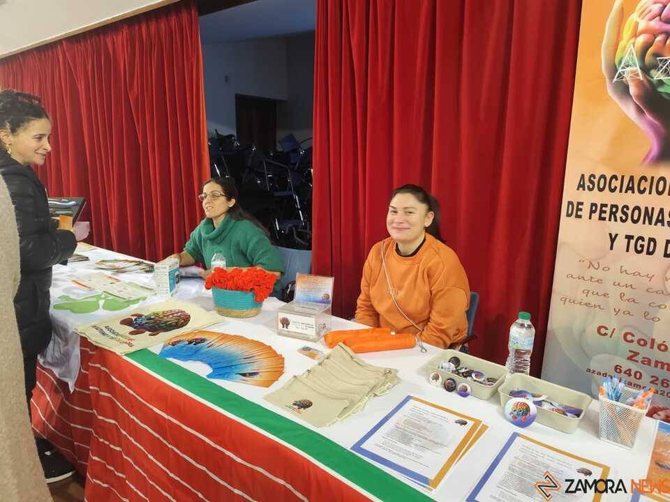 Día Internacional de la Discapacidad Zamora _7