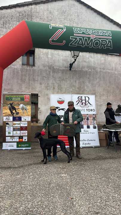Copa Zamora de Galgos 2025 (2)
