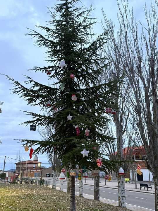 Decoración navideña Casaseca de las Chanas
