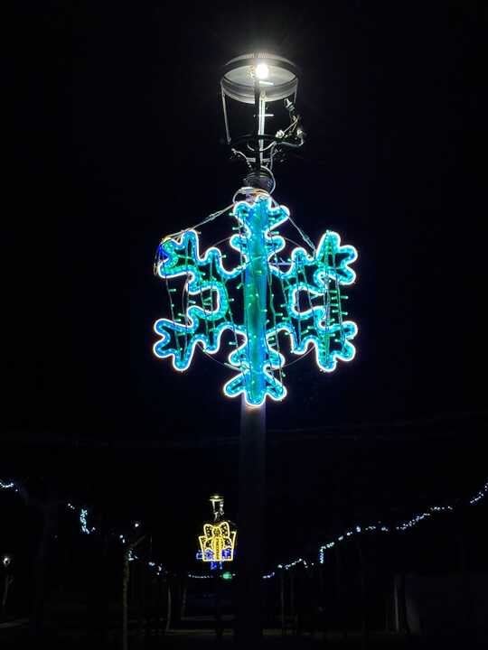 Alumbrado navideño Casaseca de las Chanas_4