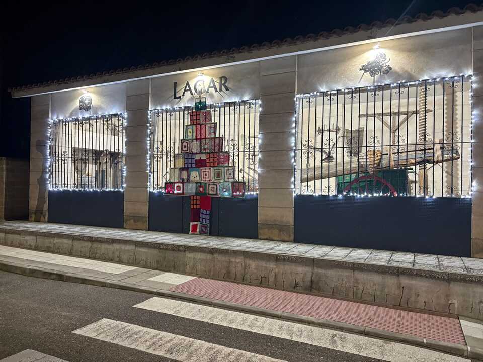 Alumbrado navideño Casaseca de las Chanas_5