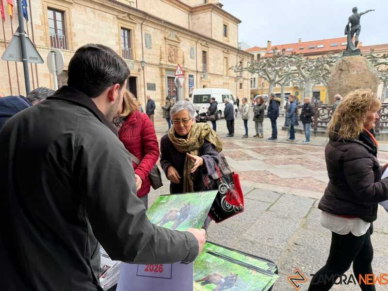 reparto de calendarios 2026 en la Diputación de Zamora _4
