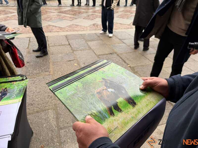 reparto de calendarios 2026 en la Diputación de Zamora _2