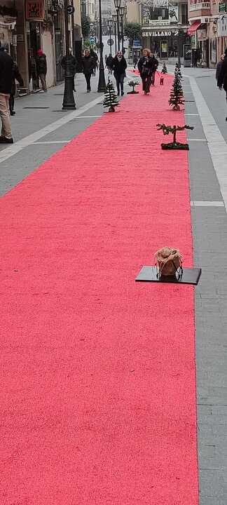 Las macetas y elementos decorativos instalados este sábado han resultado dañados o han desaparecido en menos de 24 horas.