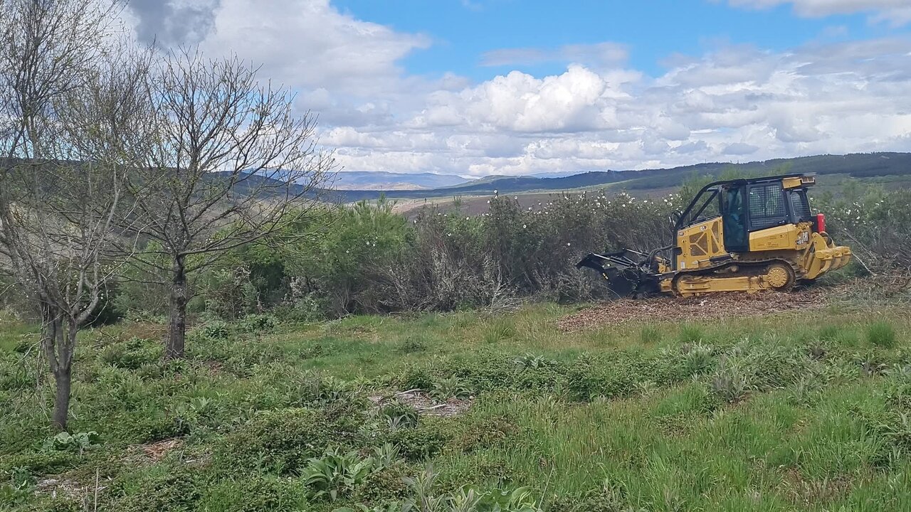 máquina desbrozadora (1)