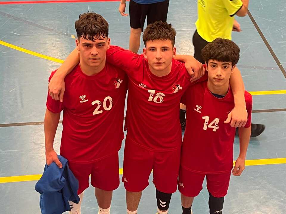 CANTERA BALONMANO ZAMORA (5)