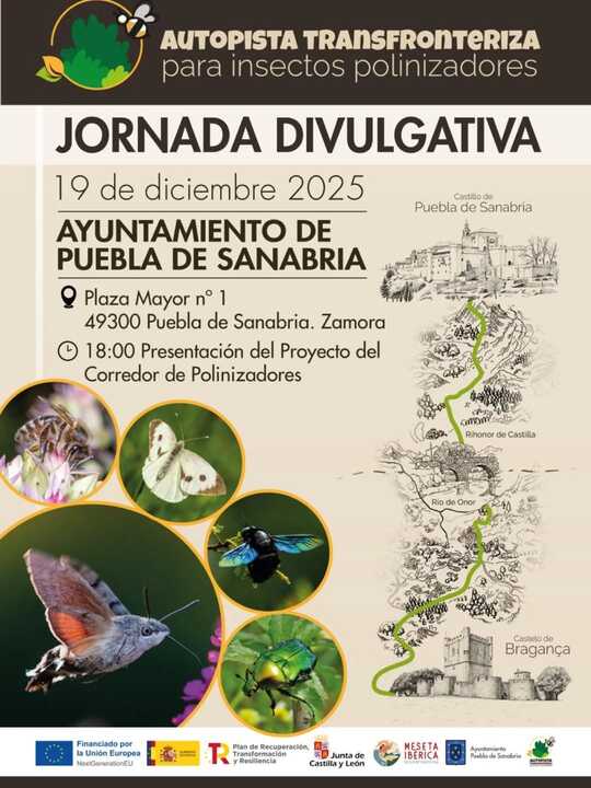 Jornada divulgativa autopsia transfronteriza polinizadores - Puebla de Sanabria