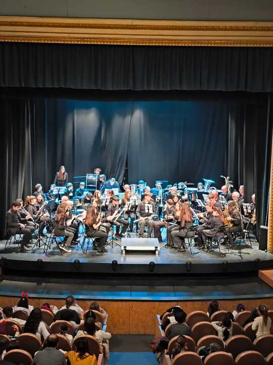 Festival Navideño de los Centros Educativos de Primaria de Toro  Banda de Música