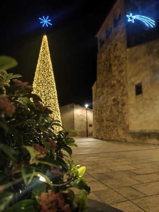 Pajares de la Lampreana en Navidad  (1)