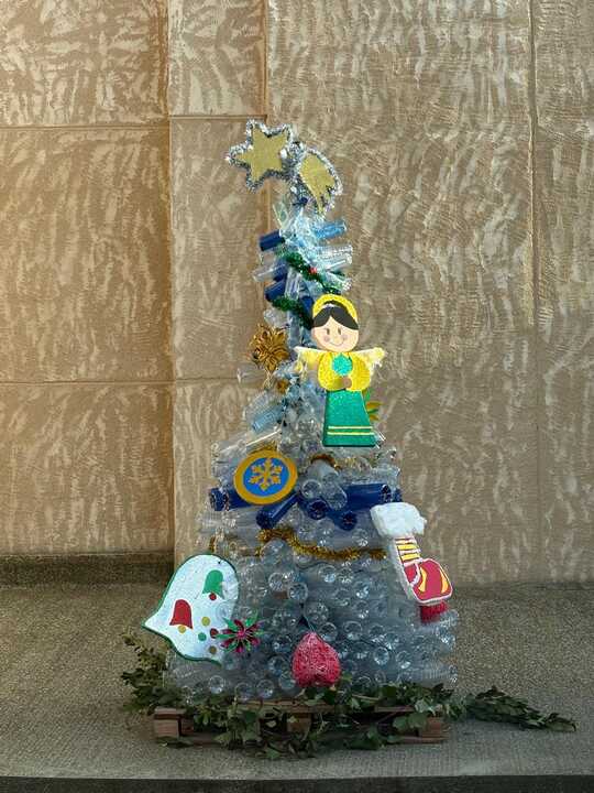 decoración de Navidad en Cerecinos de Campos  (4)