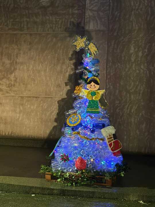 decoración de Navidad en Cerecinos de Campos  (3)