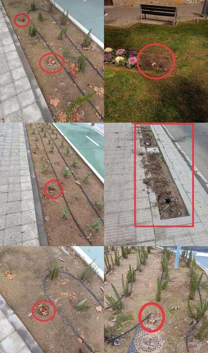 acto vándalico en Zamora (2)