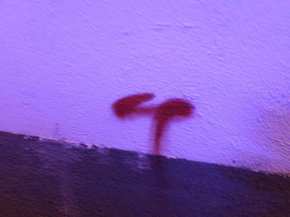 Pintadas en la muralla Zamora (4)