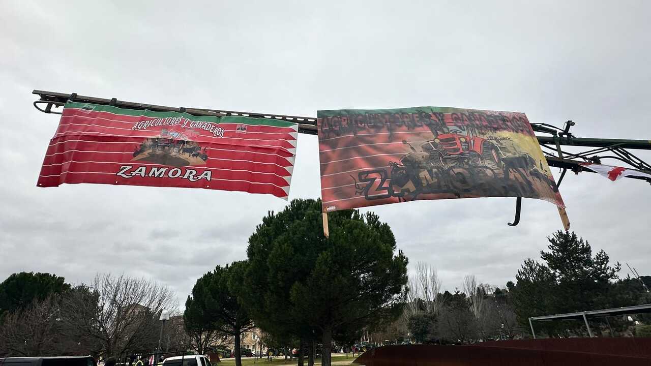 agricultores y ganaderos en la protesta de las Cortes (6)