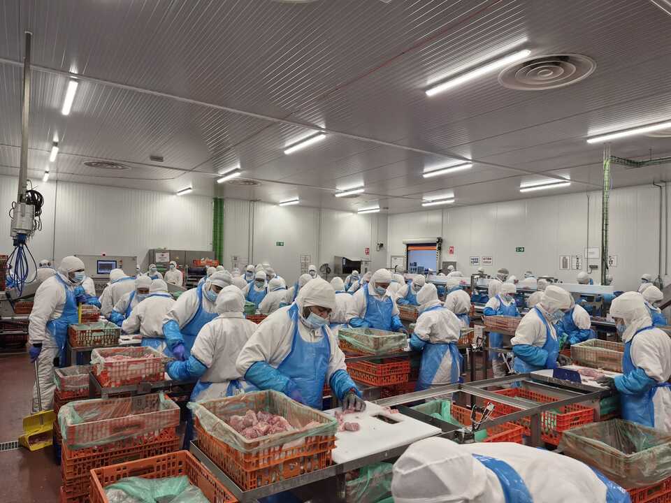  Avícola Galocha (1)