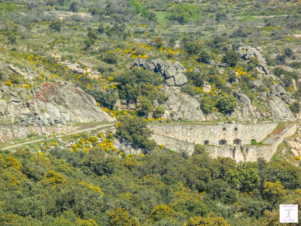 La machacadora. Lazos por la vida