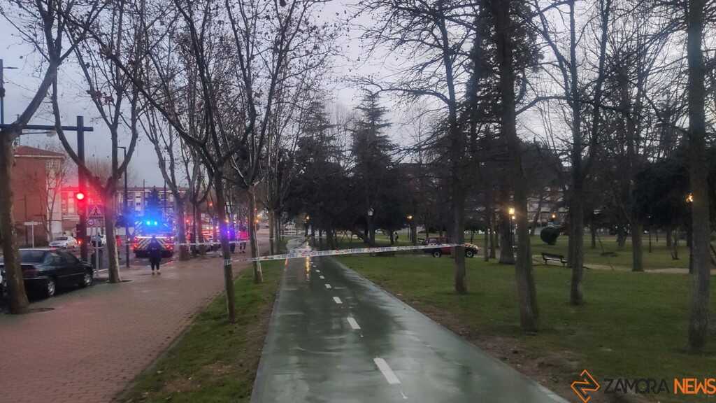 Caida de un árbol en Zamora _2