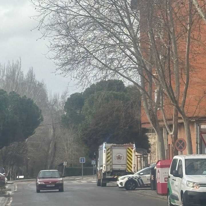 caida de árbol en Calle doctor Fleming (2)