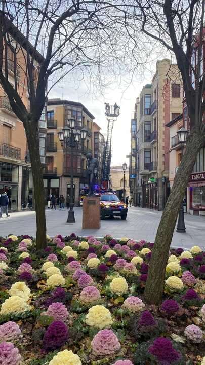 bomberos en Plaza Sagasta  (1)