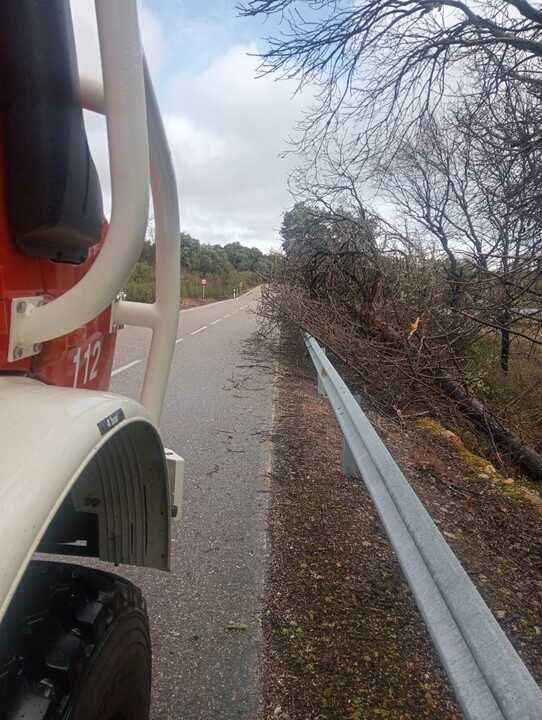 Los bomberos del Parque Tierras de Aliste intervienen por la Borrasca Joseph en Ferreruela de Tábara (4)