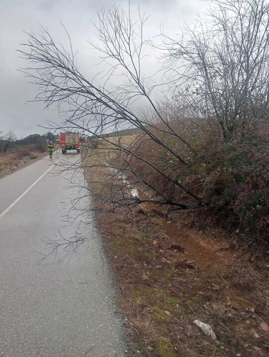Los bomberos del Parque Tierras de Aliste intervienen por la Borrasca Joseph en Ferreruela de Tábara (3)