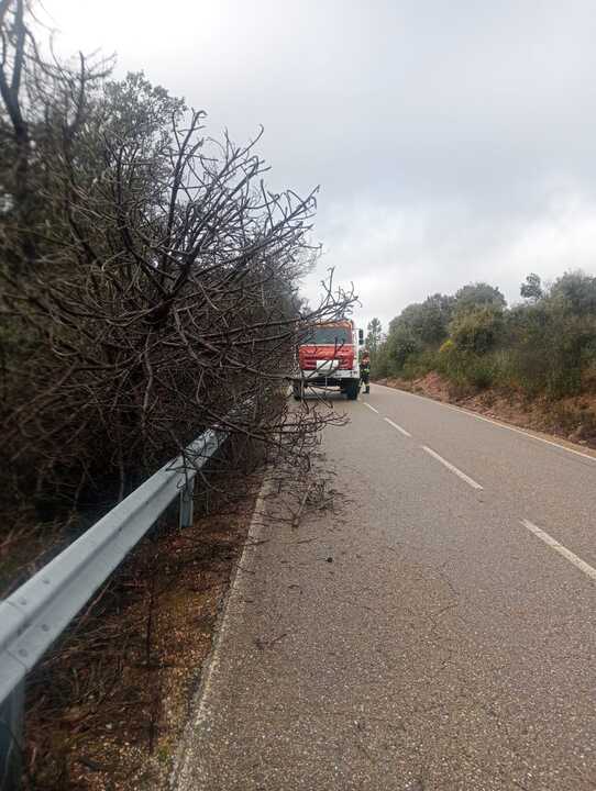 Los bomberos del Parque Tierras de Aliste intervienen por la Borrasca Joseph en Ferreruela de Tábara (2)
