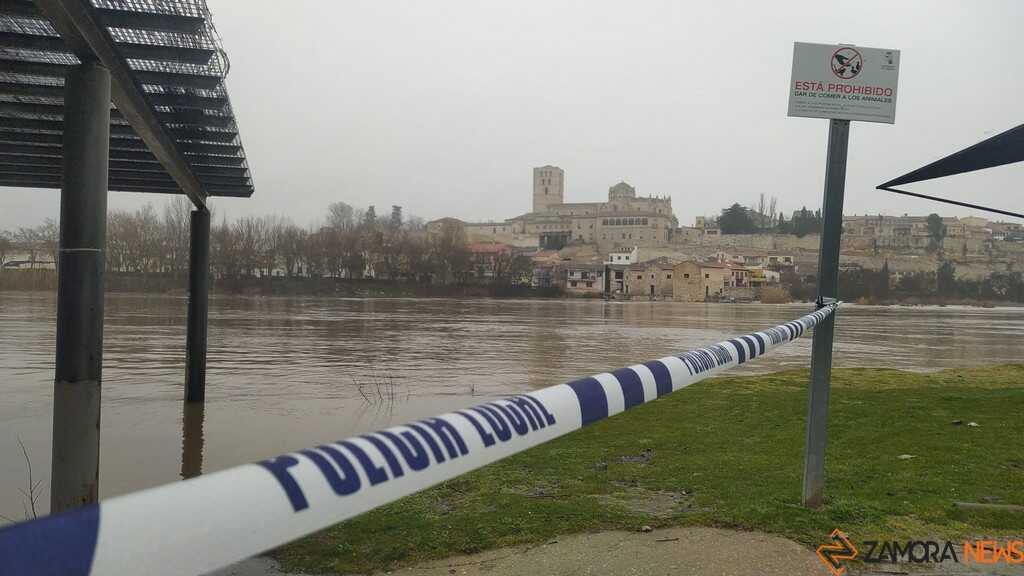  El Duero inunda aceñas y paseos a su paso por Zamora_39