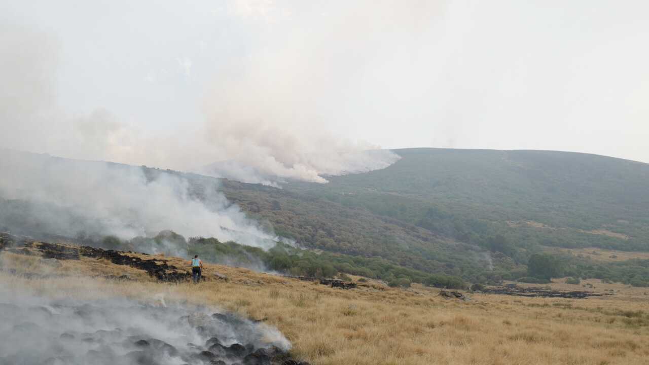 Captura 2025-12-05 133112_3.23.1