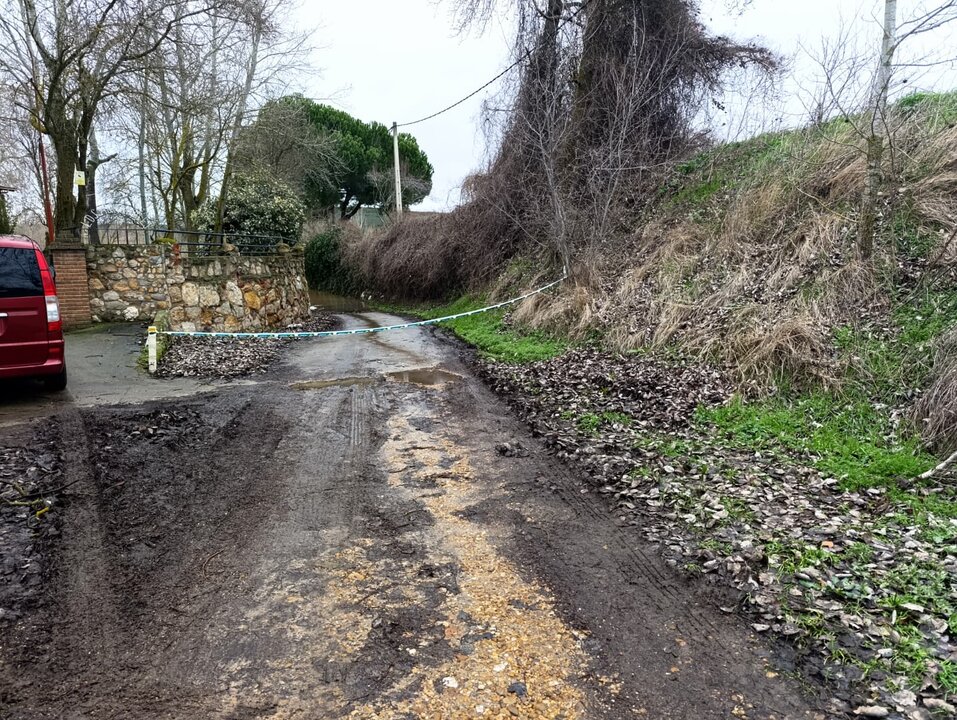 WhatsApp Image 2026-02-09 at 14.20.47 (1)