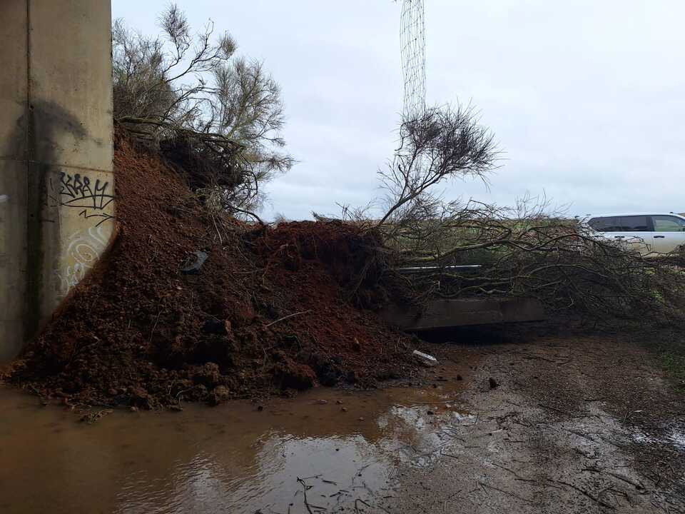 Aspecto que presenta la carretera