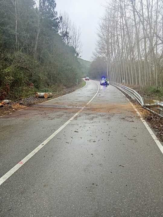 WhatsApp Image 2026-02-11 at 17.03.19 (1)