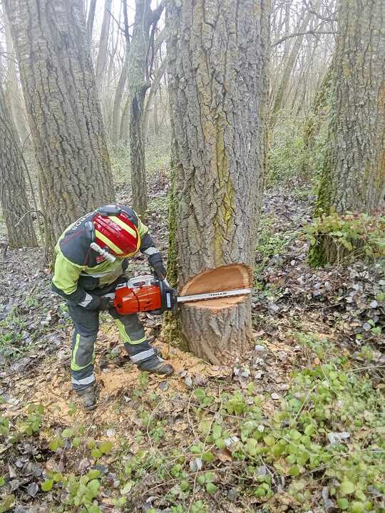 WhatsApp Image 2026-02-11 at 17.03.19