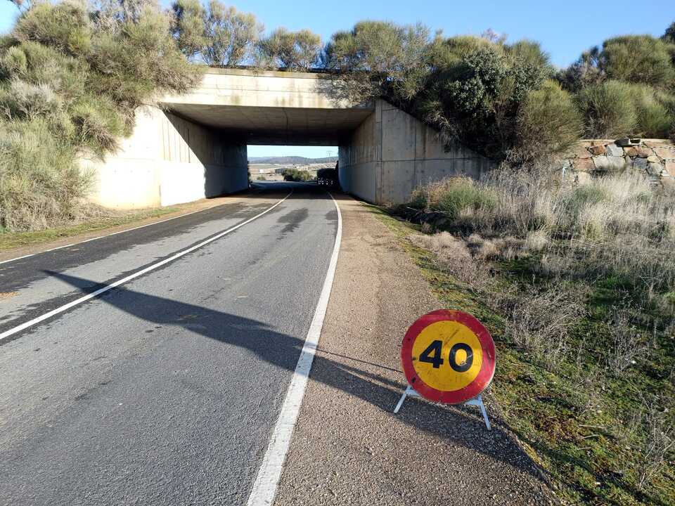 carretera entre Quiruelas de Vidriales y Quintanilla de Urz  (1)