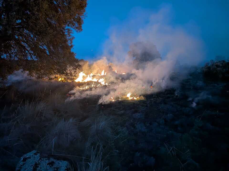 Incendio vegetación Comarca de Sayago _2