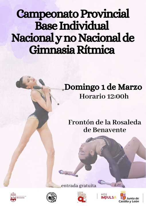 Cartel Campeonato Gimnasia Ritmica Benavente