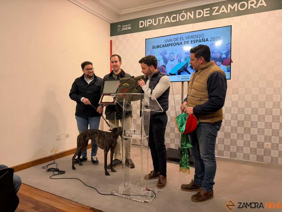   “Uva de El Verdejo”, galga que se proclamó subcampeona de España en el Campeonato Nacional de Galgos_3