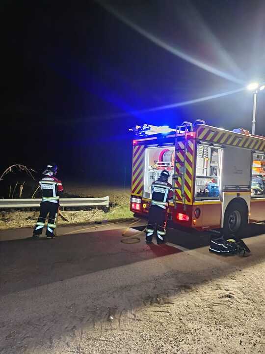 Incendio Fresno de la Ribera _3