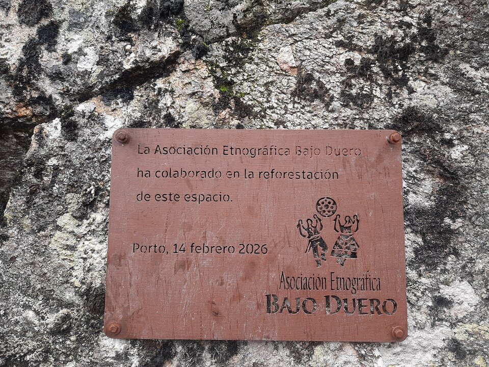 reforestación en Porto de Sanabria  (3)