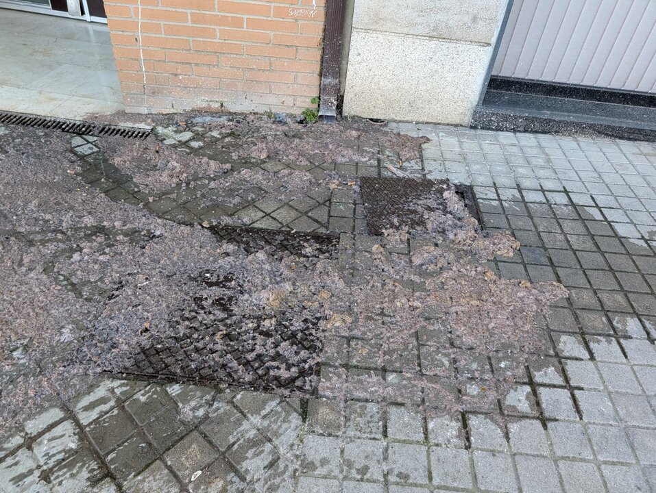 Cristo rey aguas fecales