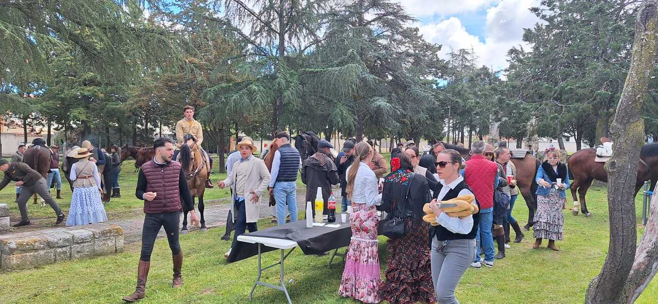 camino flamenco Morales del Vino, Pontejos. IMAGEN CEDIDA (2)