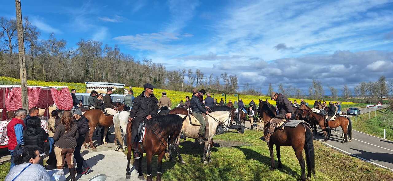 camino flamenco Morales del Vino, Pontejos. IMAGEN CEDIDA (1)