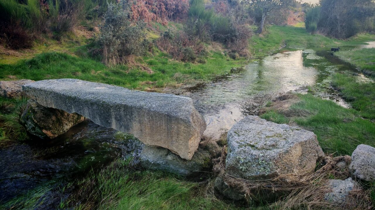 Puente que se recorrió en la caminta de 2019