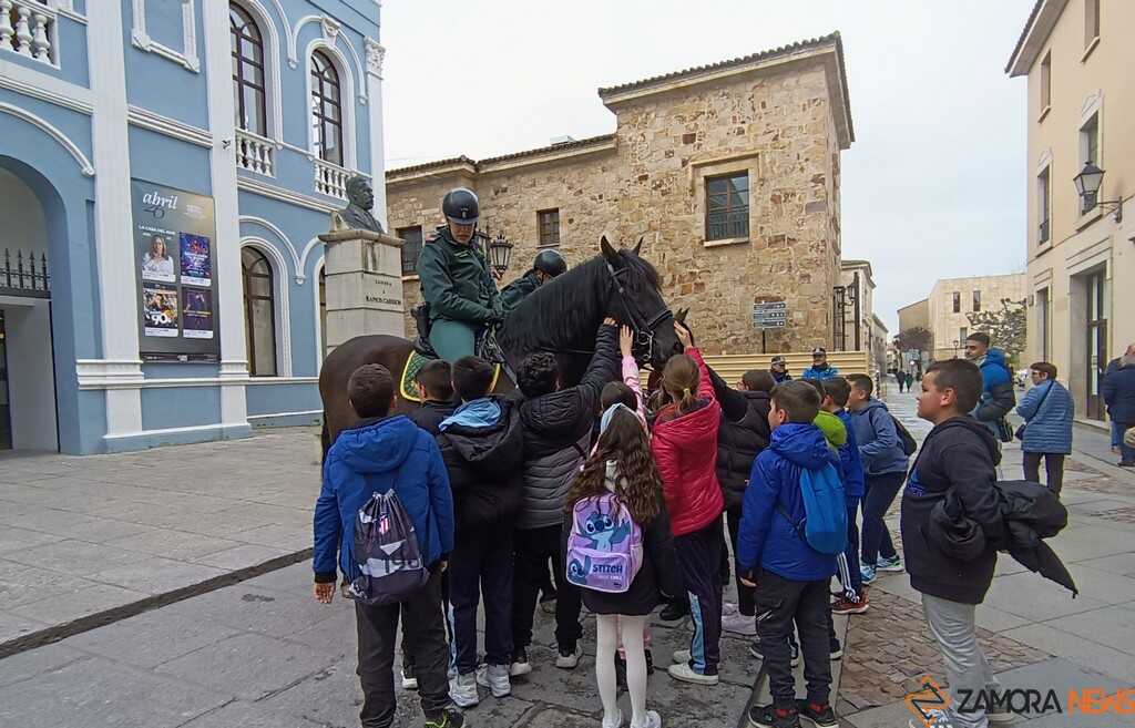  jornadas sobre desapariciones involuntarias en el medio rural _4