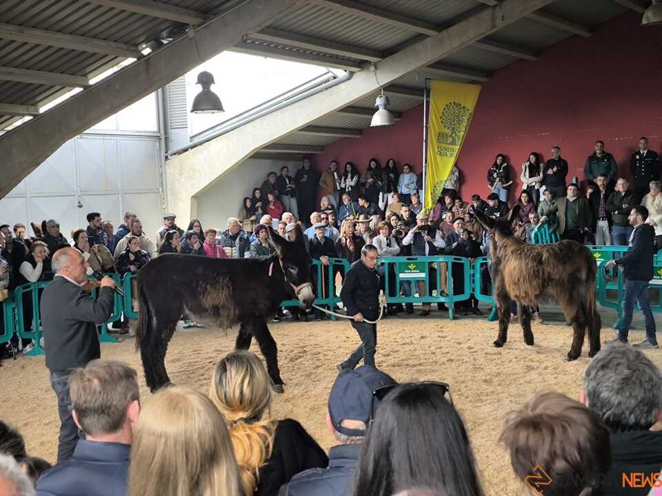 Buches san vitero 2026_3