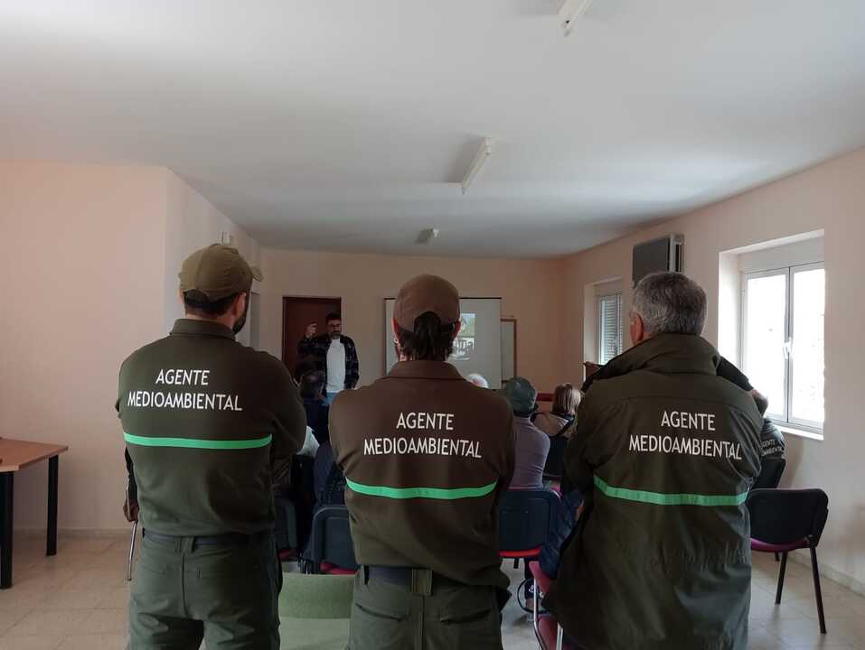 dia arbol agentes medioambientales