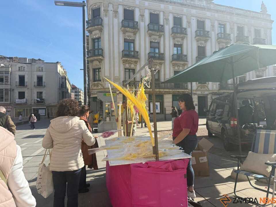Puestos de palmas Zamora  _9
