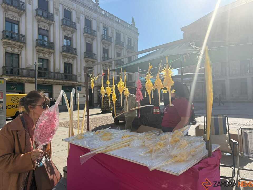 Puestos de palmas Zamora  _7