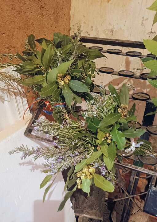 IMG_20260328_112024~2